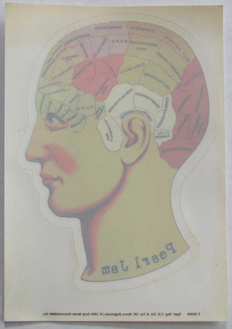 Pearl Jam brain sticker