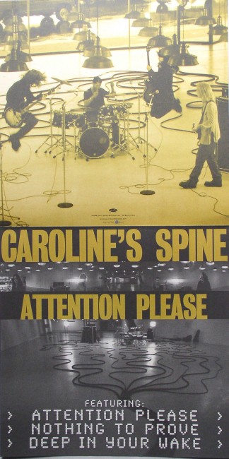 Caroline's Spine flat back