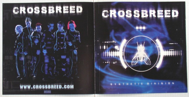 Crossbreed flat back