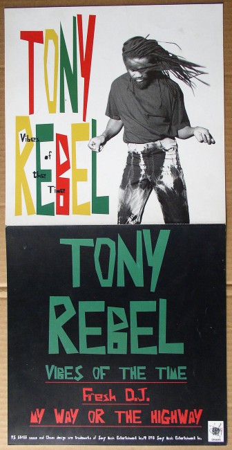 Tony Rebel / Vibes Of The Times flat front