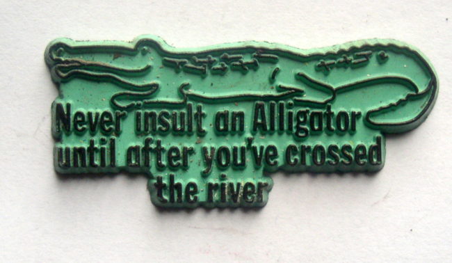 Never Insult An Alligator 1