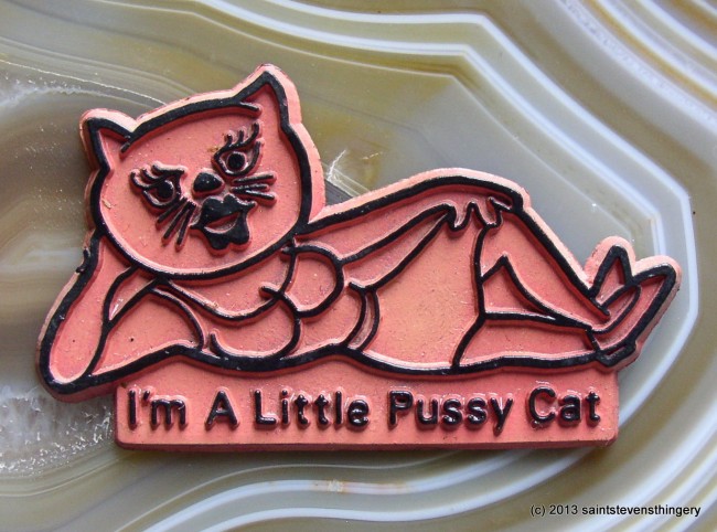 I'm A Little Pussy Cat