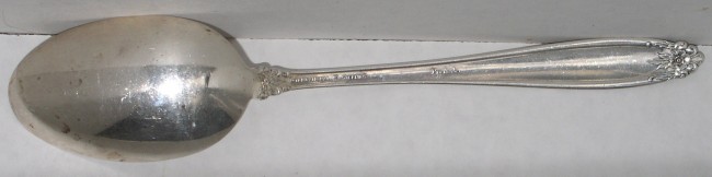 Prelude Serving Spoon 3