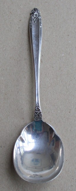 Prelude Sugar Shell Spoon 1