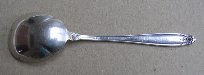 Prelude Sugar Shell Spoon 2