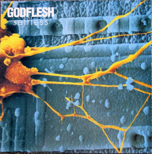 Godflesh / Selfless flat front