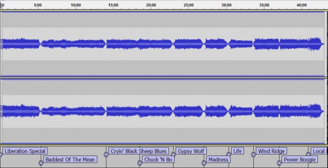 waveform_elephants_memory_both_sides