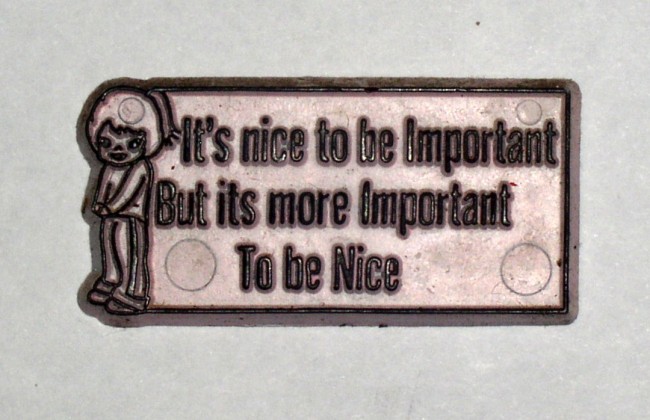 It's Nice To Be Important But Its More Important To Be Nice