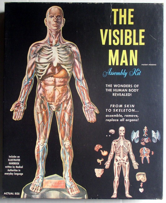 Visible Man 1