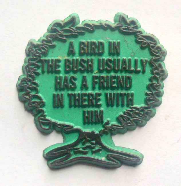 A Bird In The Bush 1
