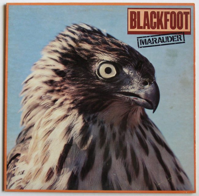 Blackfoot LP 1