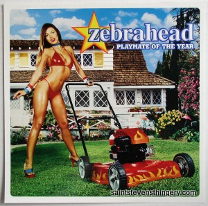 Zebrahead / Playmate Of The Year Sony promo flat 2000